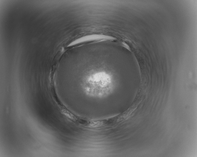 X0000075900720200609291732