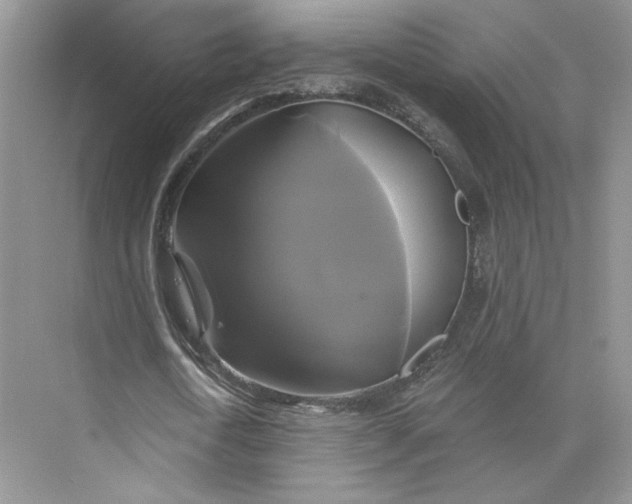 X0000075900722200609291731