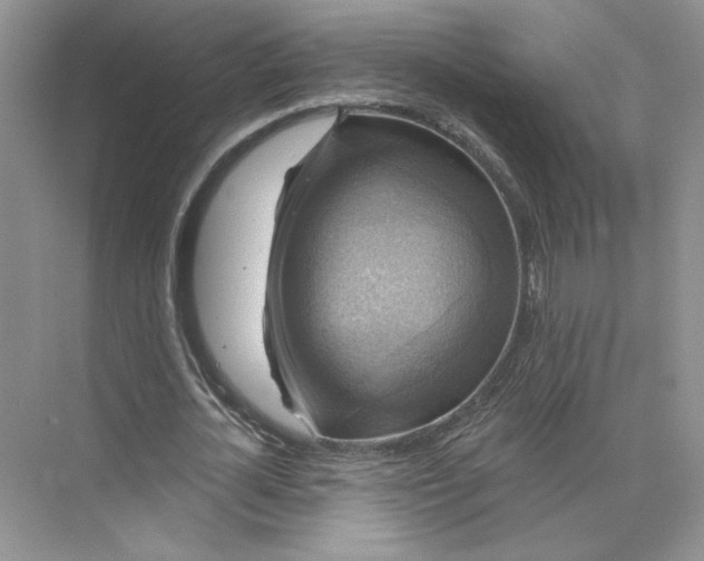 X0000075900724200609291731