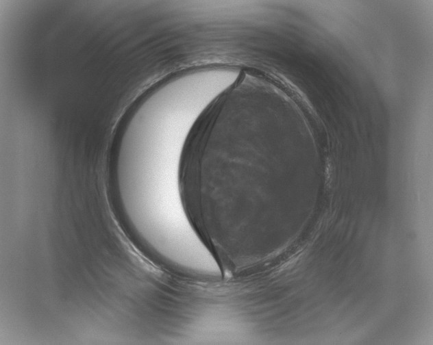 X0000075900725200609291731