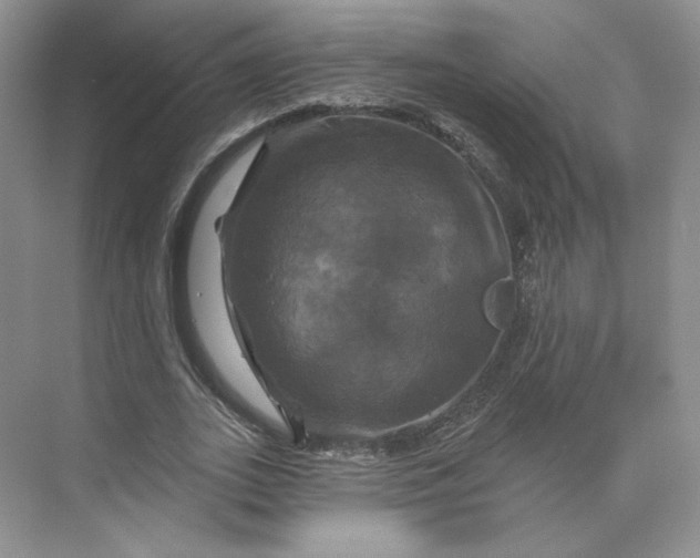 X0000075900727200609291731