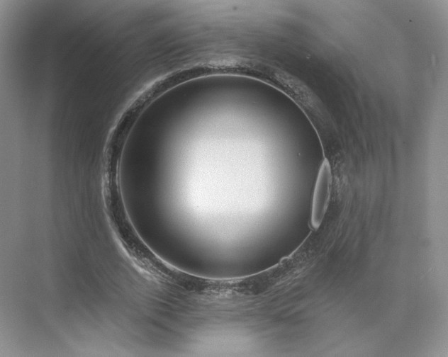 X0000075900728200609291731