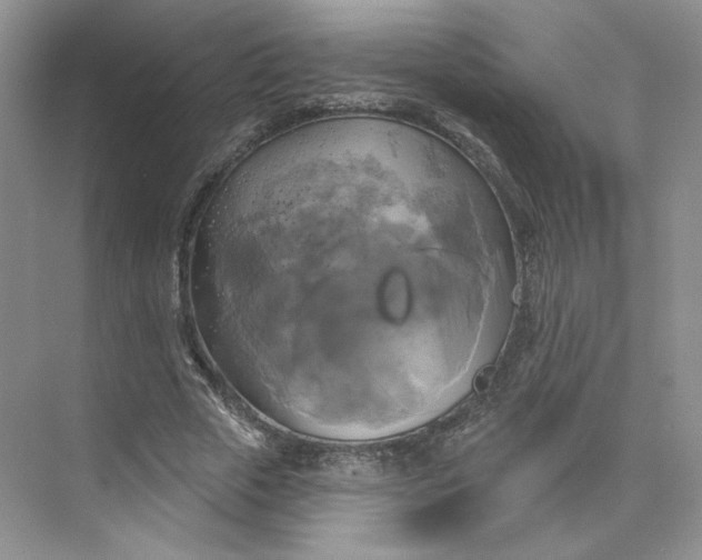 X0000075900729200609291731