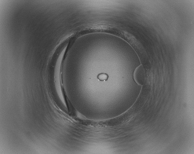 X0000075900731200609291731