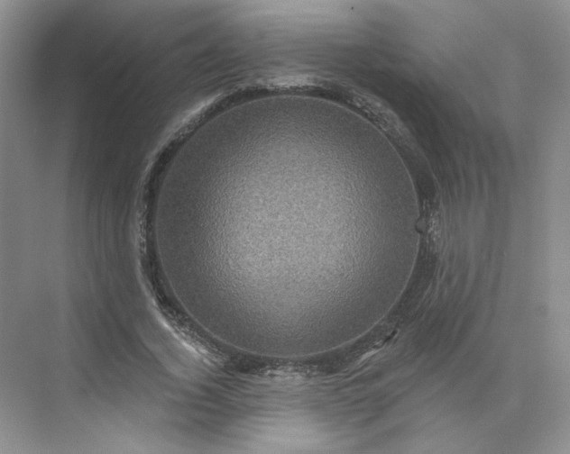 X0000075900732200609291731