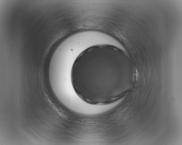 X0000075900735200609291731