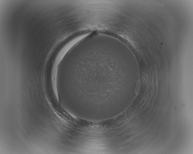 X0000075900736200609291731