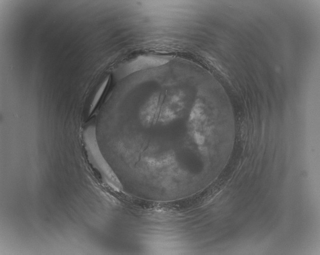 X0000075900737200609291731