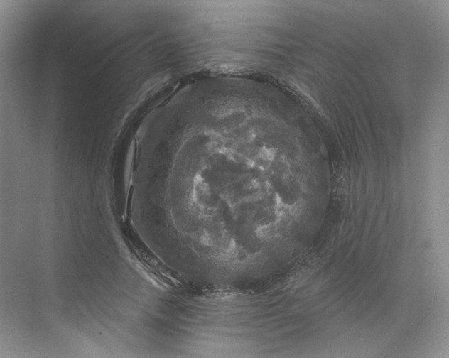 X0000075900738200609291731