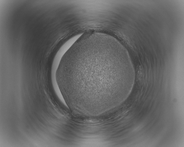 X0000075900739200609291731