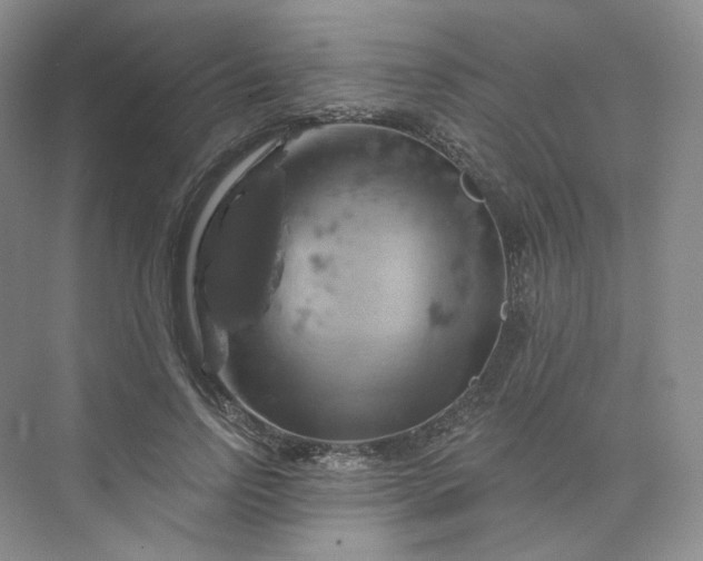 X0000075900742200609291731