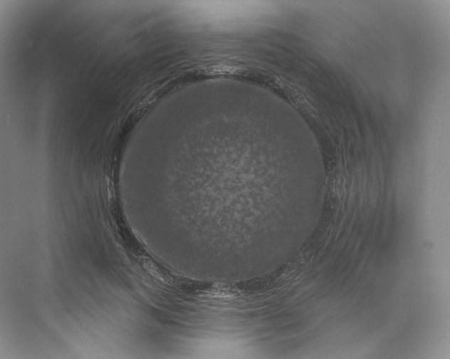 X0000075900743200609291731