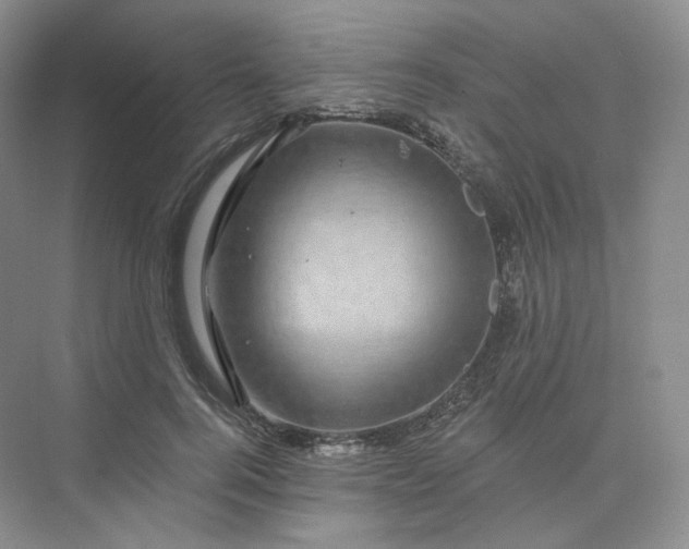 X0000075900744200609291731