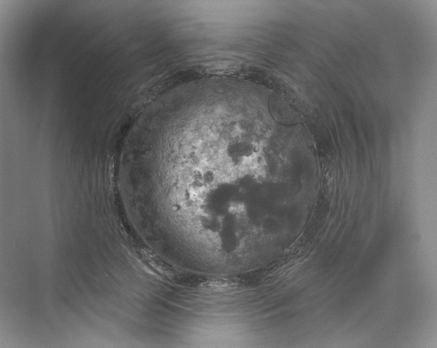 X0000075900745200609291731