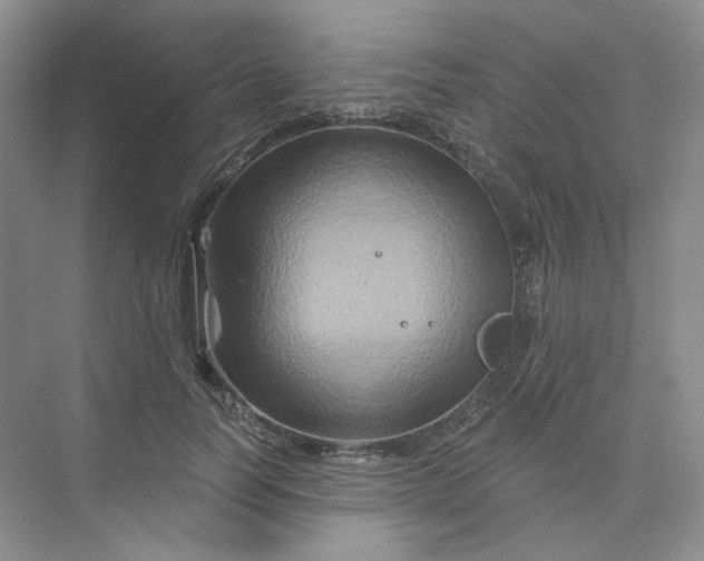 X0000075900746200609291731