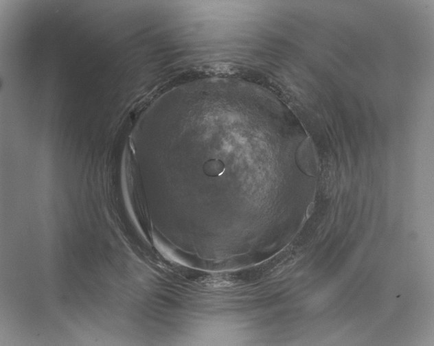 X0000075900747200609291731