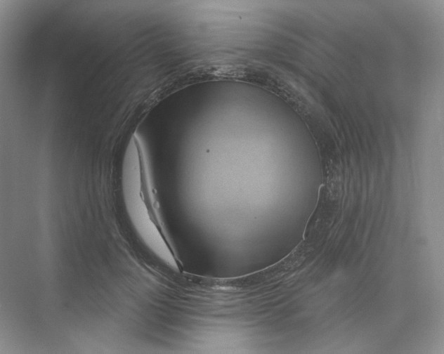 X0000075900748200609291731