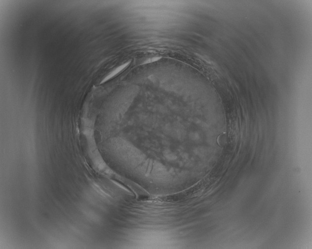 X0000075900749200609291731