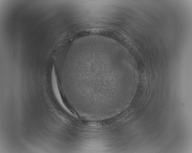 X0000075900750200609291731