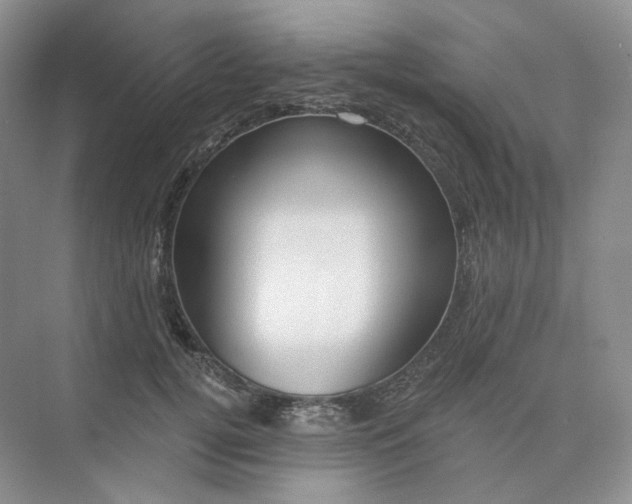 X0000075900752200609291731