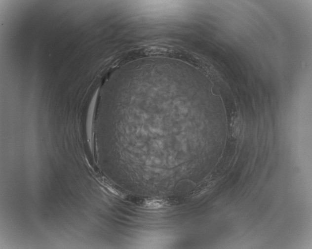 X0000075900753200609291731