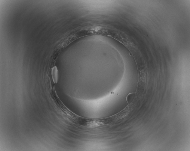 X0000075900754200609291731