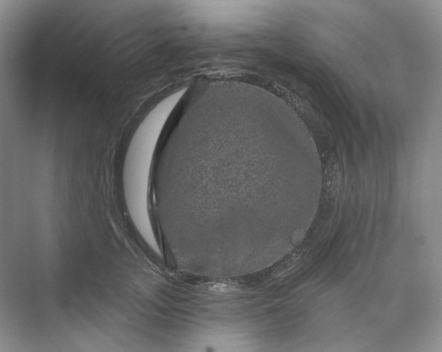 X0000075900755200609291731