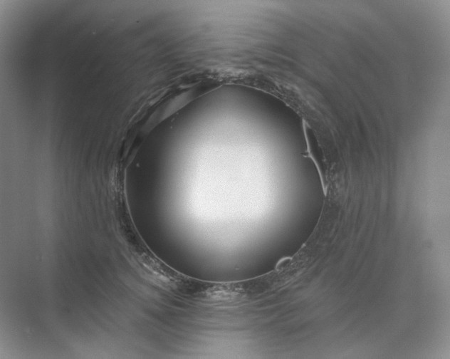 X0000075900756200609291731