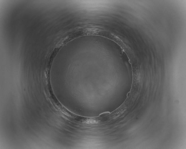 X0000075900759200609291732