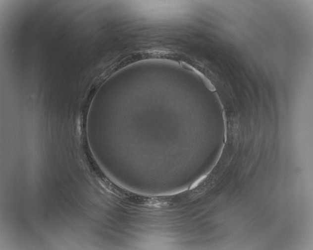 X0000075900760200609291732