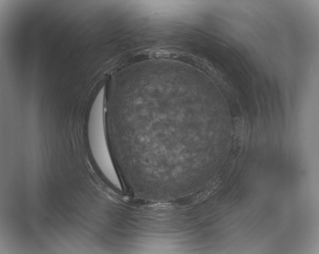 X0000075900761200609291732