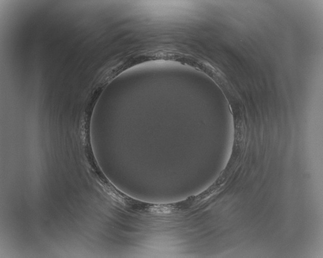 X0000075900762200609291732