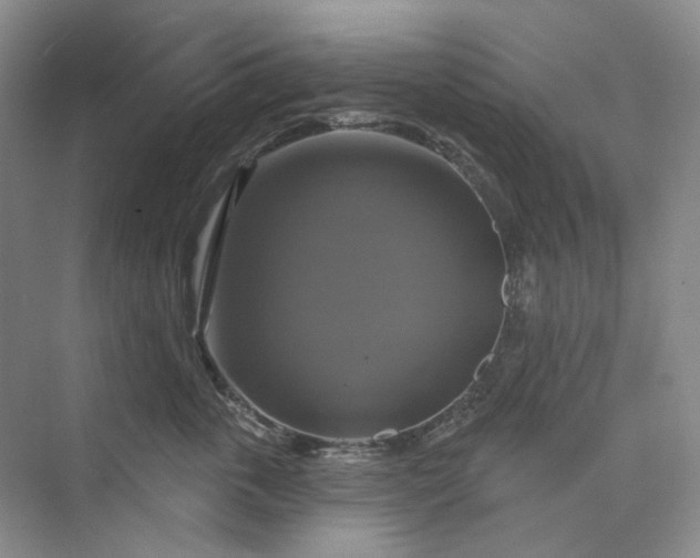 X0000075900763200609291732