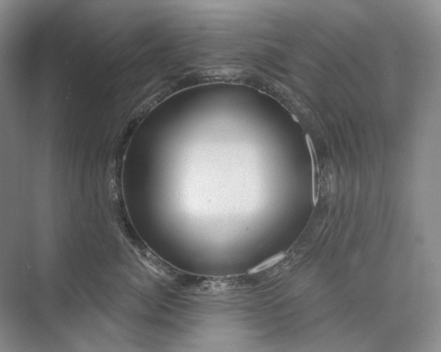 X0000075900764200609291732