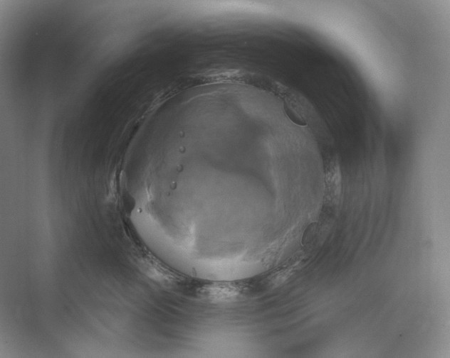 X0000075900765200609291732