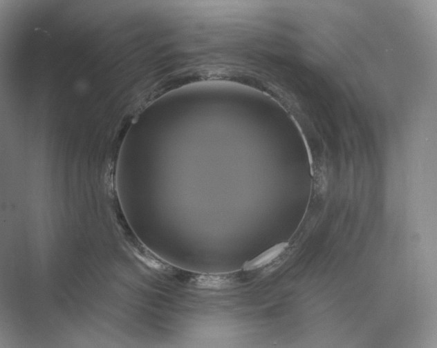 X0000075900766200609291732