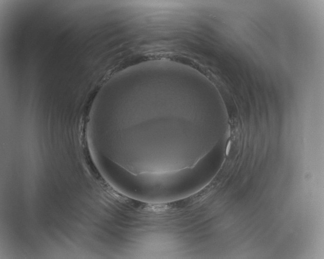 X0000075900767200609291732