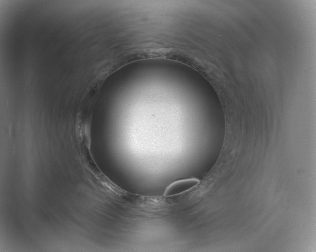 X0000075900768200609291732