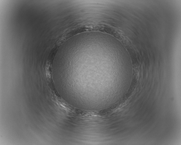 X0000075900770200609291731