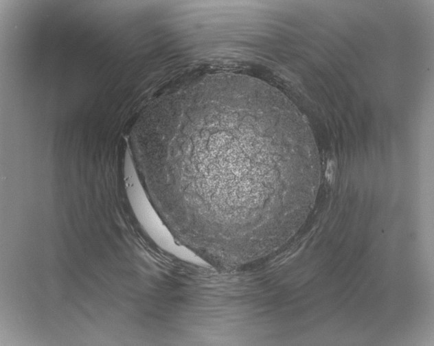 X0000075900771200609291731