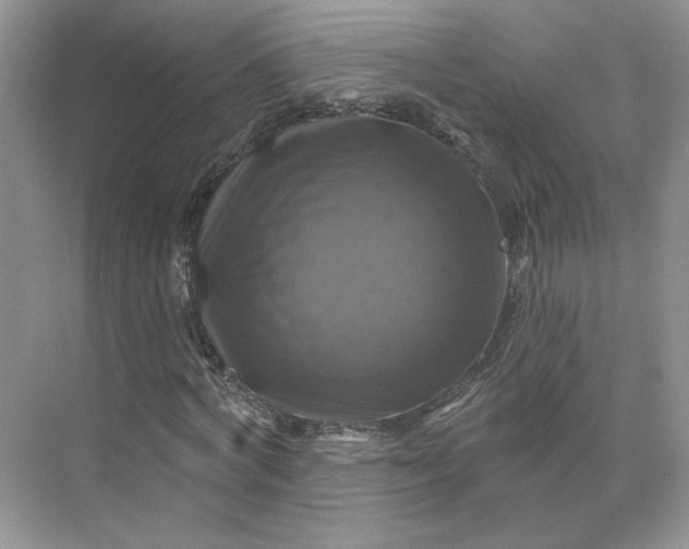 X0000075900772200609291731