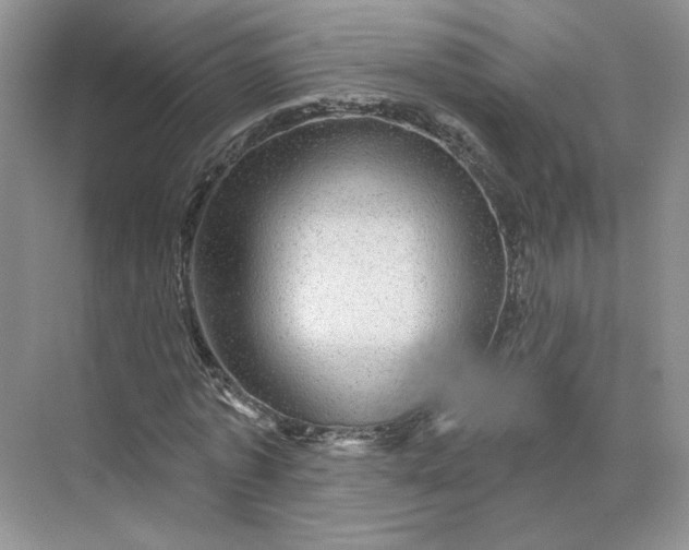 X0000075900773200609291731