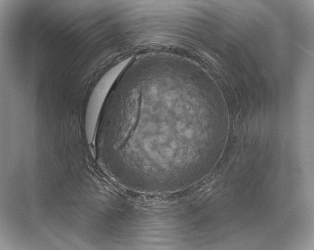 X0000075900774200609291731