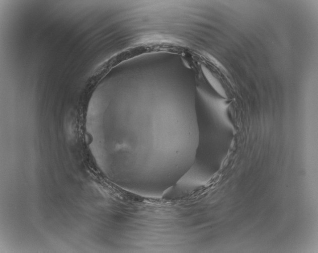 X0000075900775200609291731