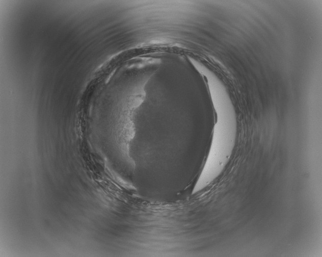 X0000075900776200609291731