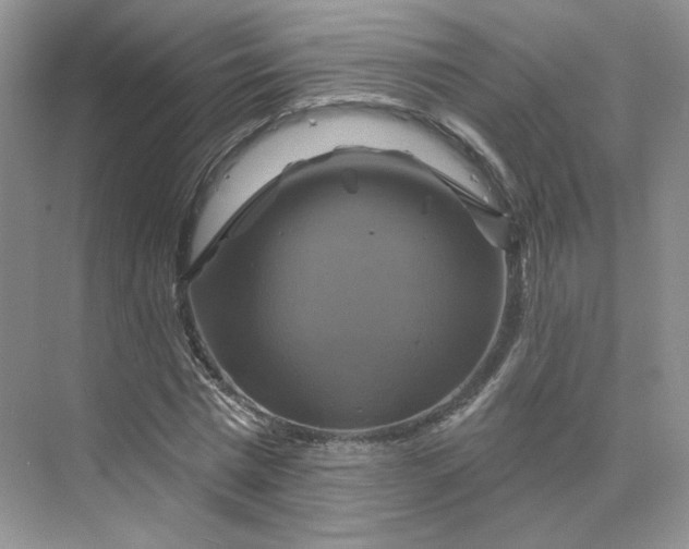 X0000075900777200609291731