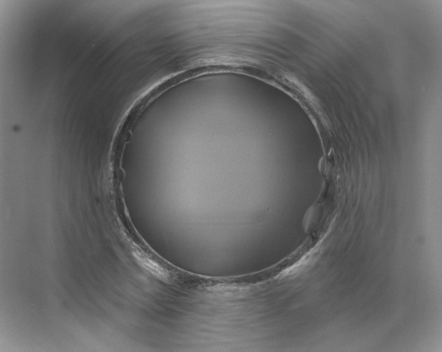 X0000075900779200609291731