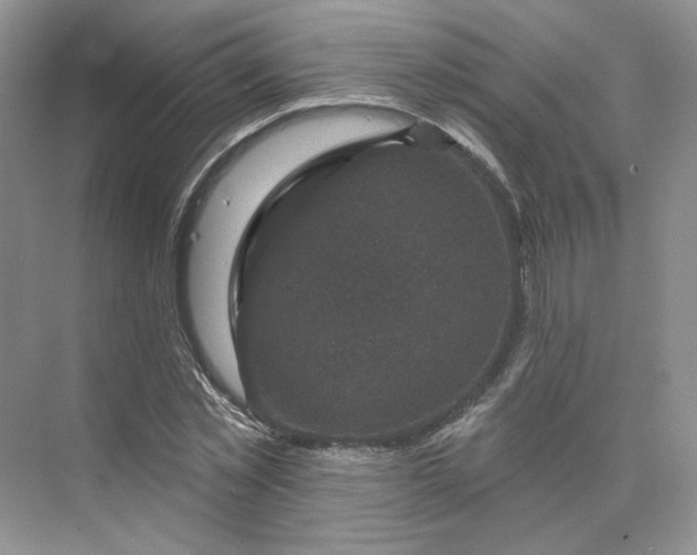 X0000075900781200609291731