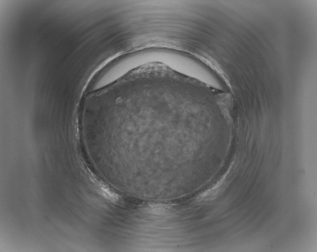 X0000075900782200609291731