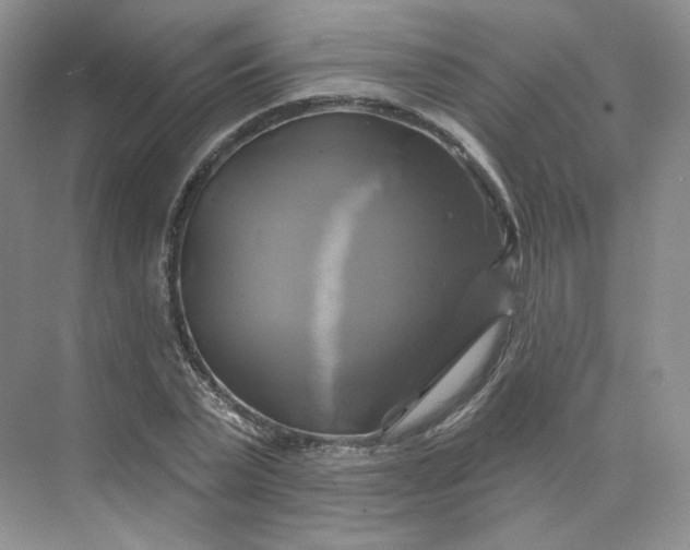 X0000075900783200609291731